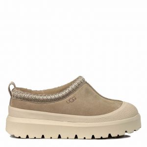 Ugg Tazz Hybrid Mustard Seed